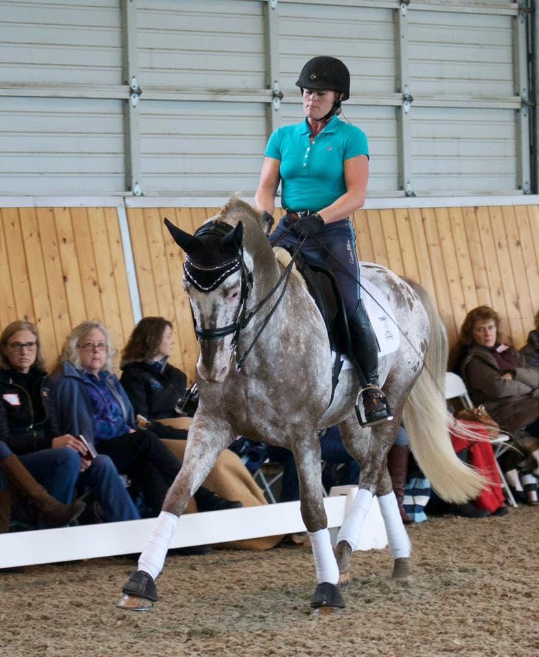 dressage training